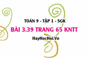 Bài 3.39 trang 65 Toán 9 tập 1 Kết nối tri thức